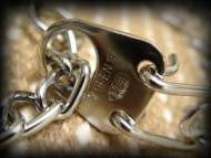 Herm Sprenger, Prong collar, Hs Collar , pinch collar, Fur Saver Collars, choke collar, Leather collars , Slip Collars, Buckle Collars